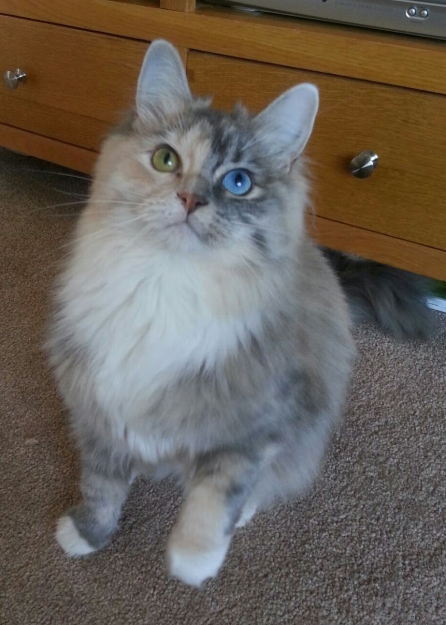 法国举办篮球明星见面会,法国举办篮球明星见面会的是谁