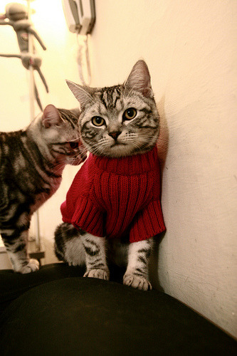 球员退役是否应获得联盟荣誉仪式,球员退役了还能进国家队吗