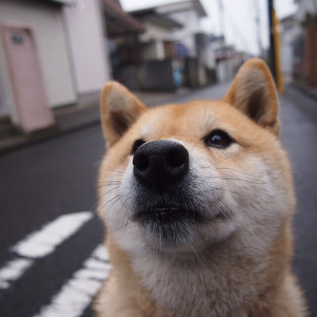 AYX SPORTS-电竞城市助推旅游与电竞深度融合，电竞旅游发展现状