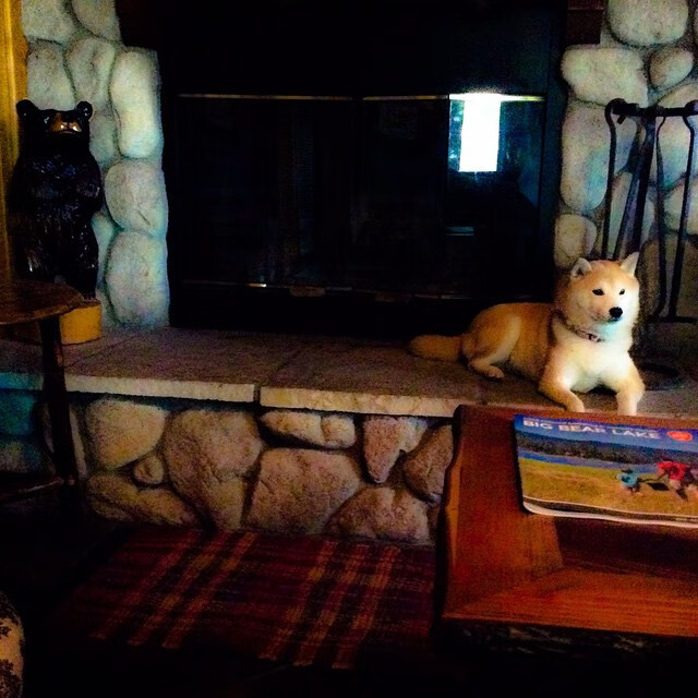 英格兰队在欧洲杯四分之一决赛中以1比0战胜葡萄牙队,晋级决赛,欧洲杯-英格兰1-0