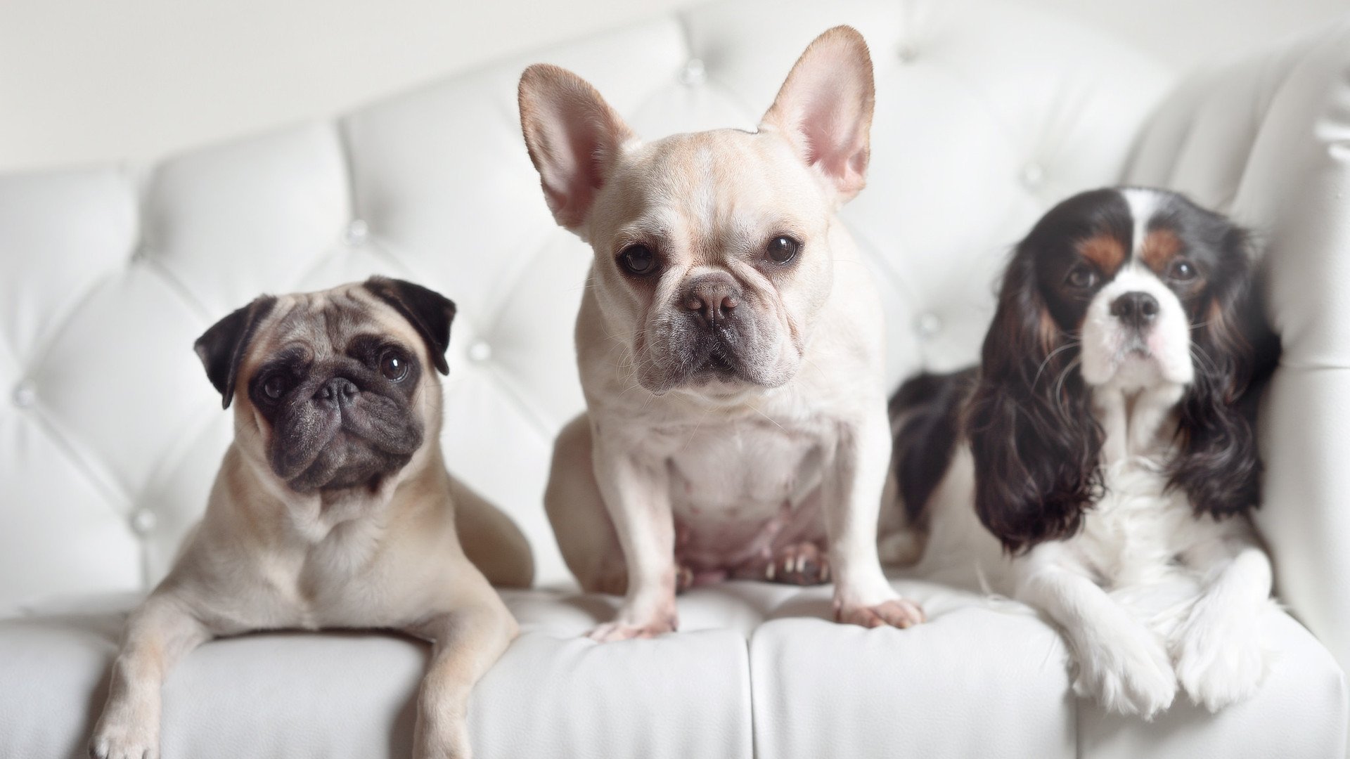 NBA球员体能恢复方法介绍，nba球员体力怎么练的