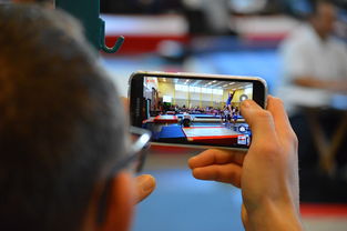 AYX体育-中国篮球联赛市场细分与精准营销研究，全国篮球联赛优势