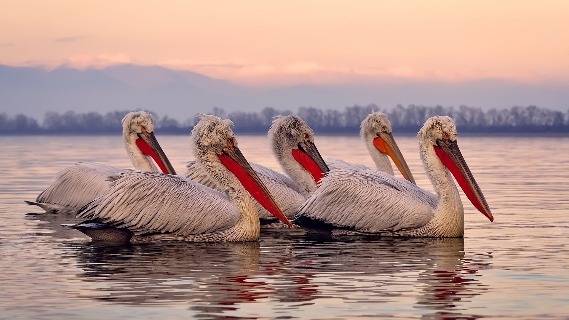 中国篮球运动员篮板技巧提升训练方案研究,如何提高篮板能力