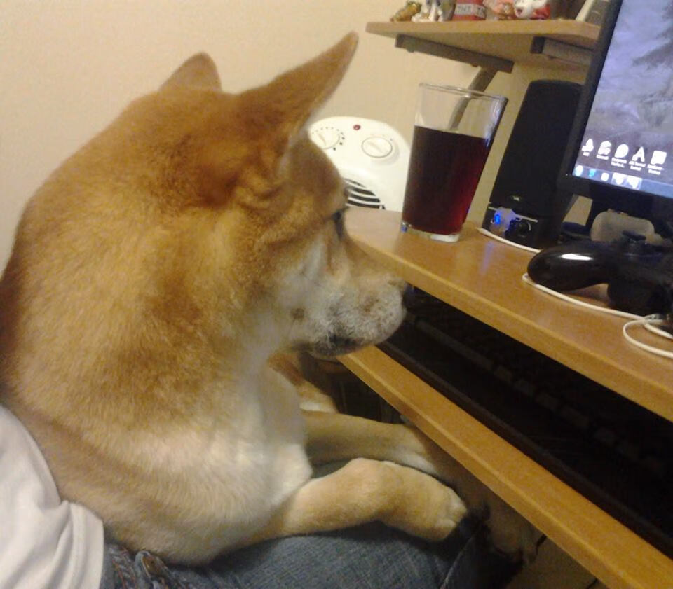 乒超联赛开赛,众国手齐聚一堂,乒超联赛乒乓球