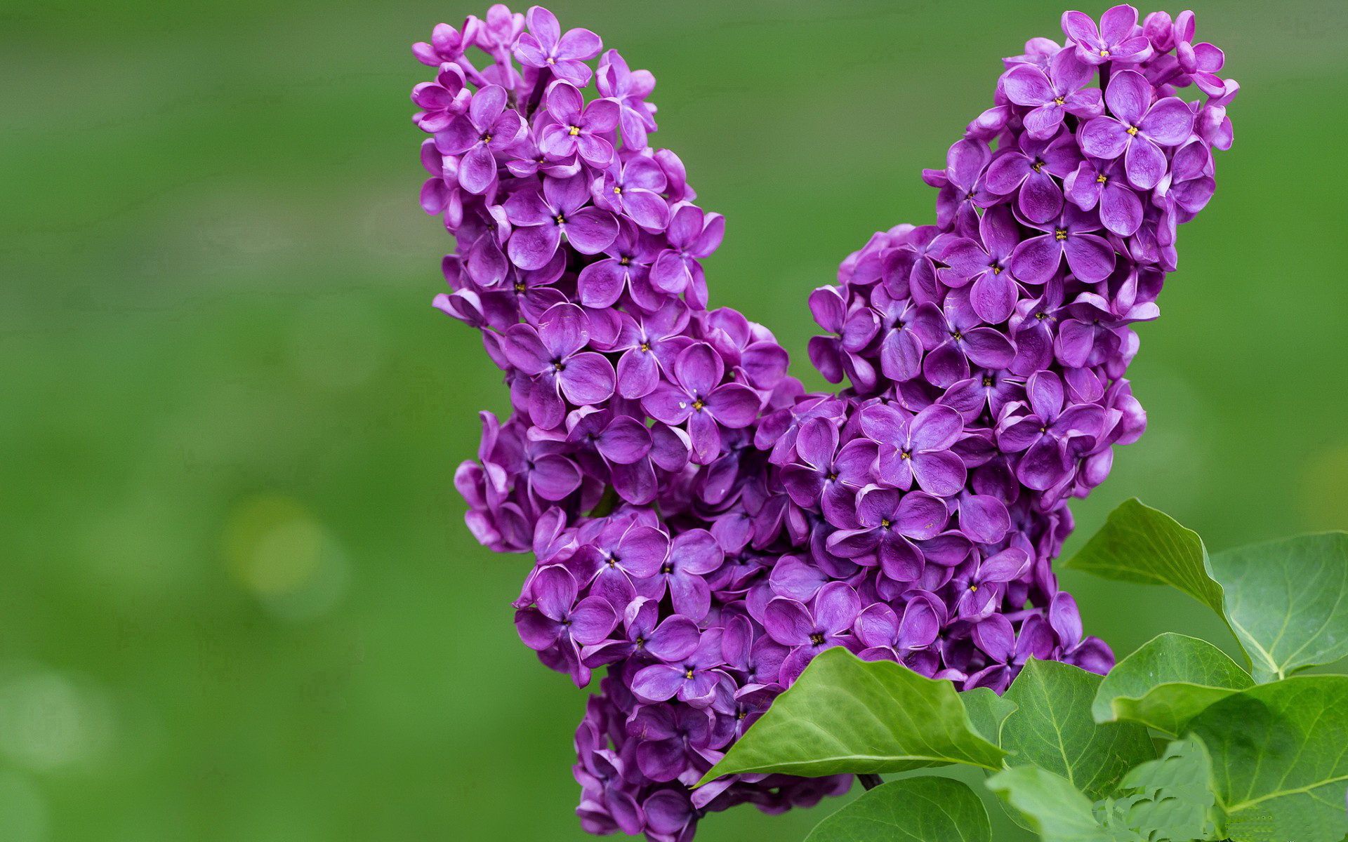 创新能力促进研究,研究创新能力的目的和意义