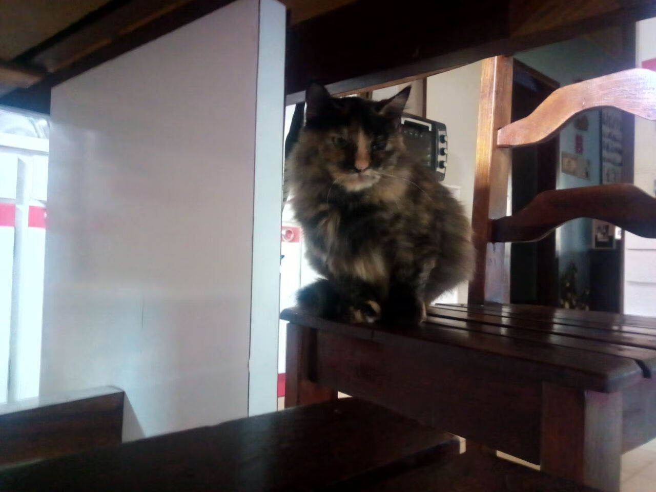 高校运动训练科学化管理平台开发,高校运动训练科学化管理平台开发与应用