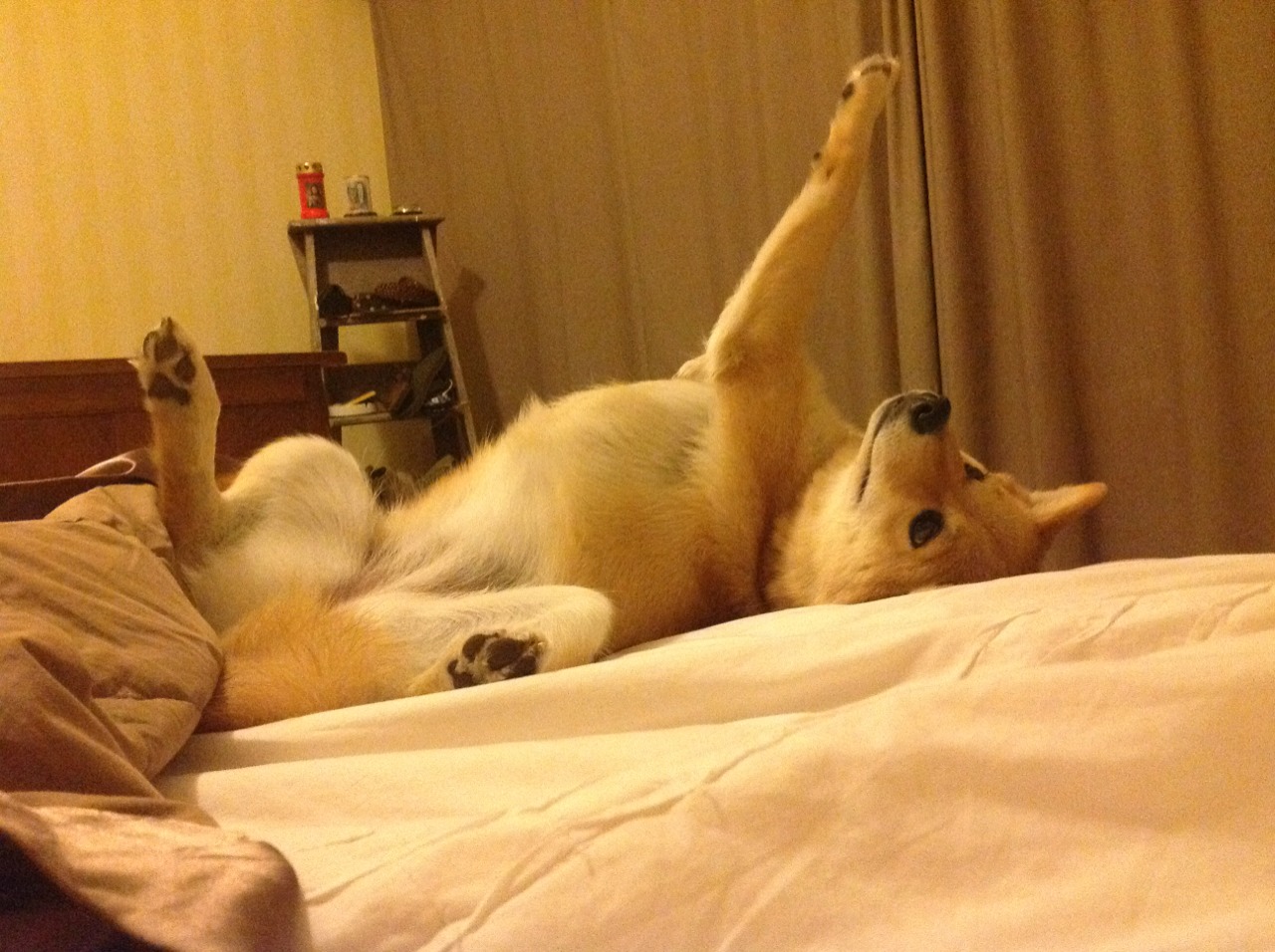 Chinese Taipei：迈向全球竞争的未来发展之路，taipei news