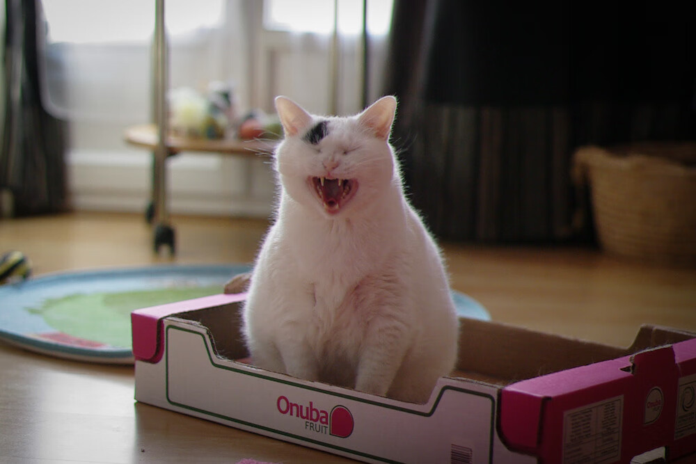 爱游戏电竞-“欧足联 vs FIFA：全球俱乐部控制权之争持续升级”