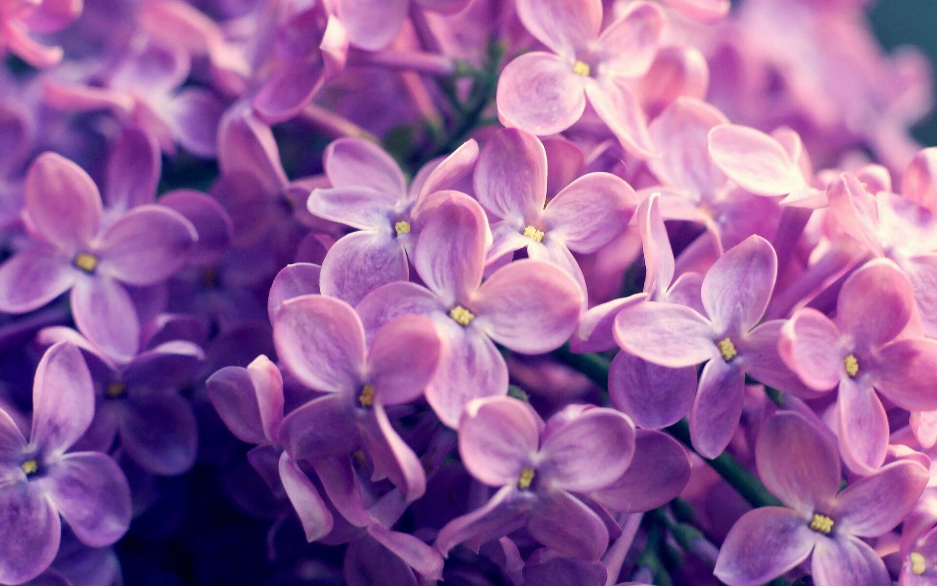 中国香港队未来能否突破技术瓶颈,迎来新一轮飞跃?,香港队伍