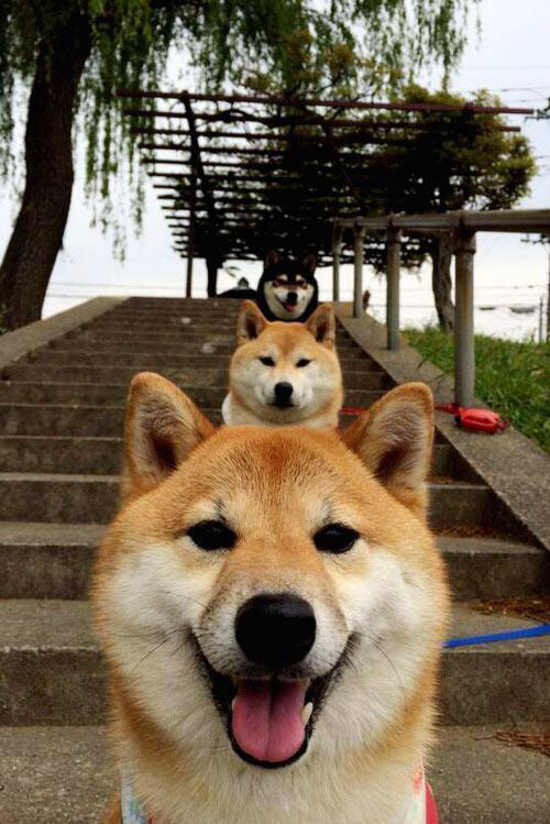 中超联赛中国女足战胜 球员状态回升明显,中国女足反超