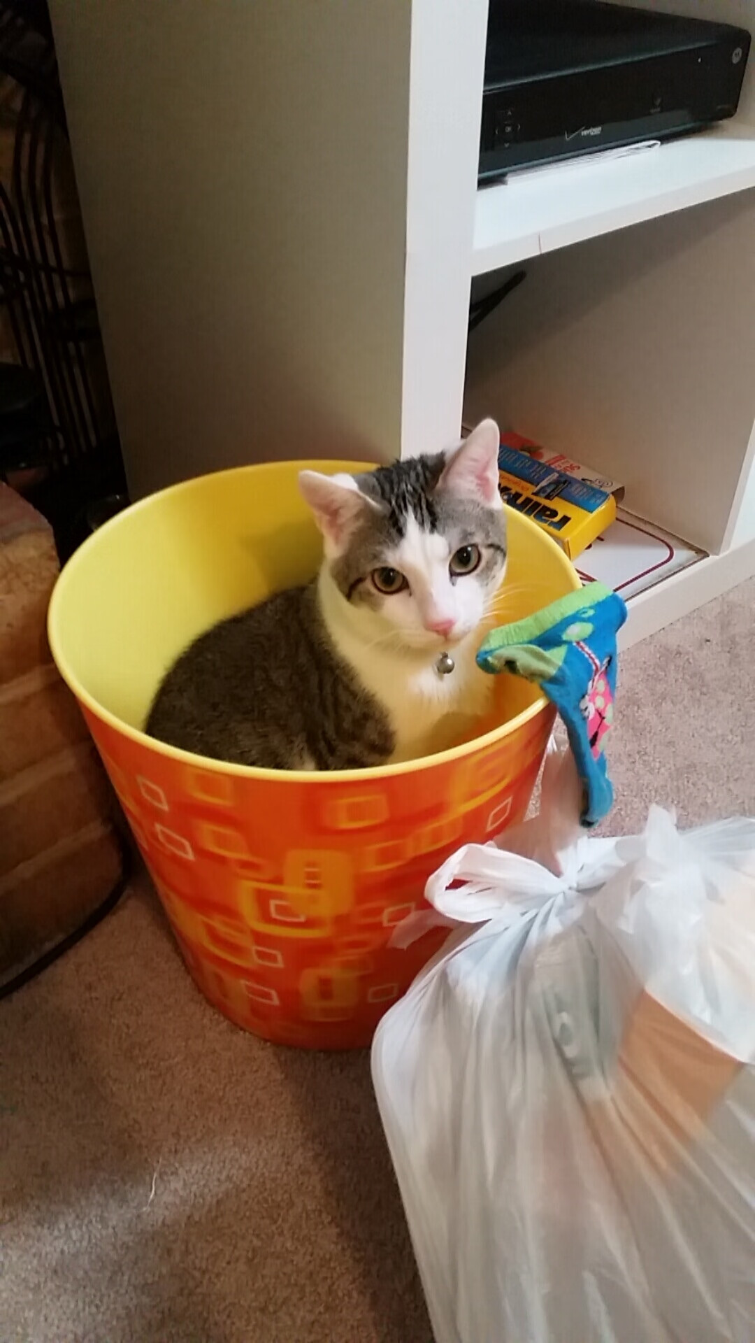 出发入水角度数据与速度关系，出发台入水