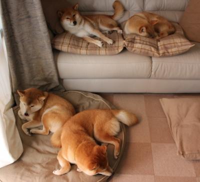 图卢兹高位压迫构建稳固防线结构,图卢兹地理位置