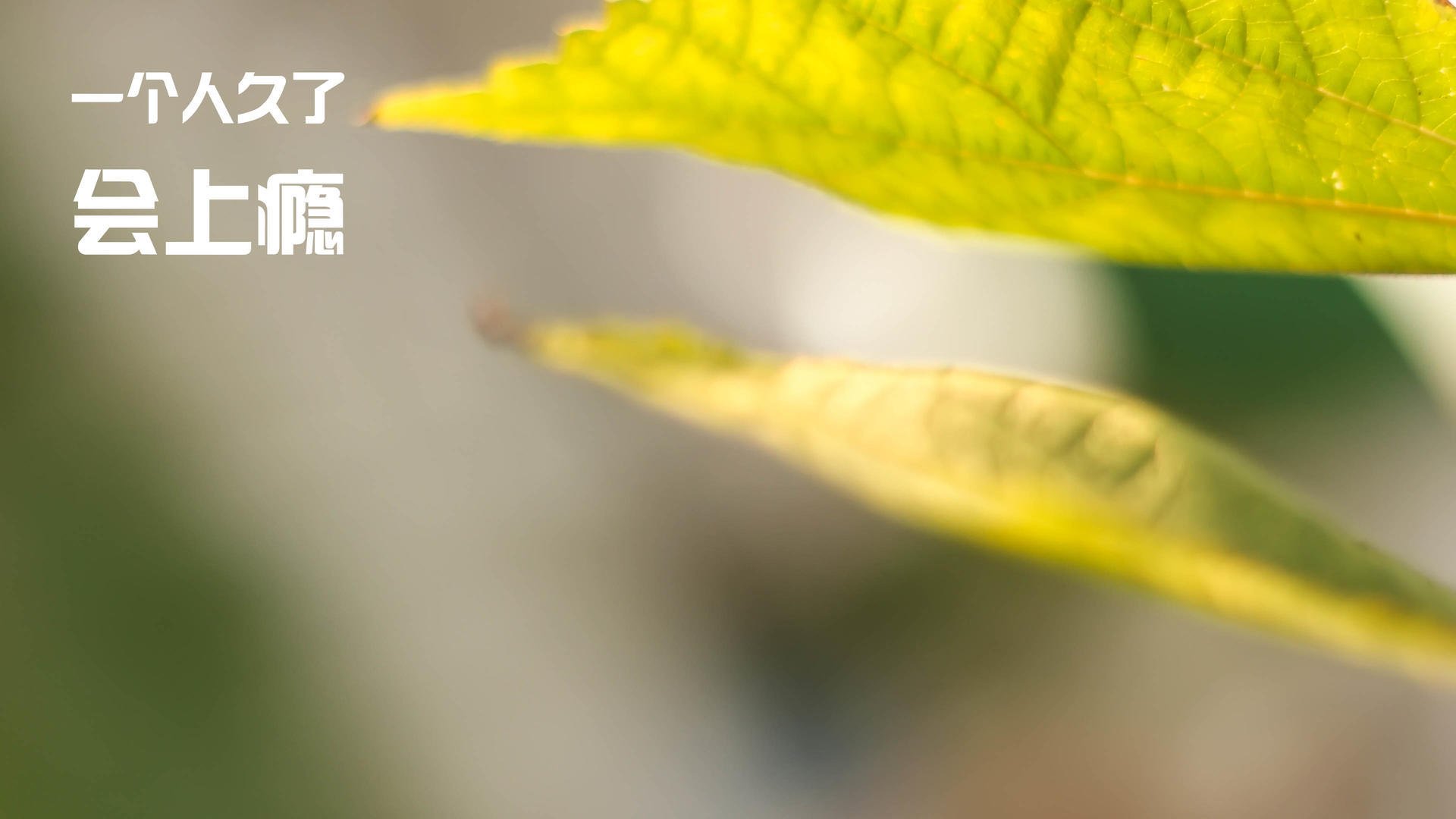 爱游戏中国官方网站平台-埃及队未来发展：加强人才引进，提升专业训练体系，你知道埃及战队吗