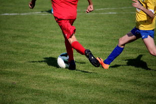 爱游戏平台-国际足球俱乐部青训论坛在广州召开，国际足联青训补偿标准