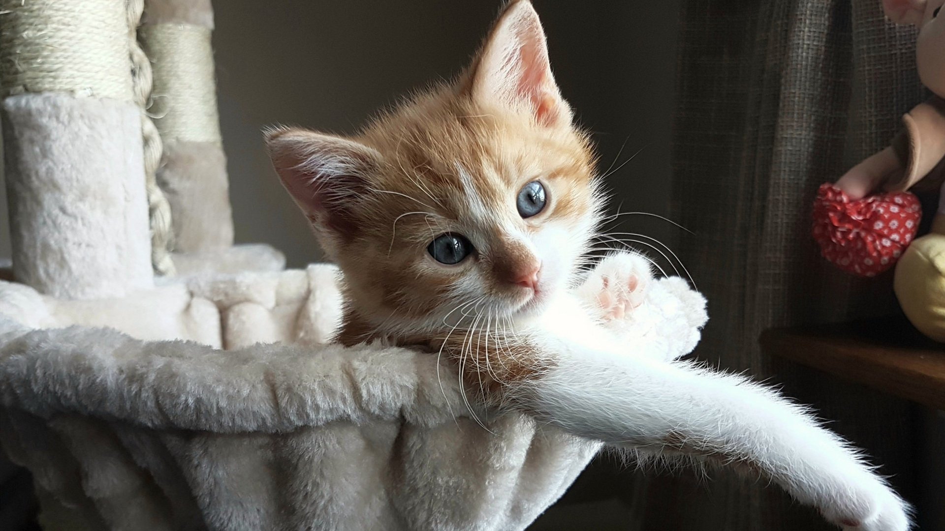 拜仁战术模型将进一步结合AI分析,拜仁阵型和球队战术