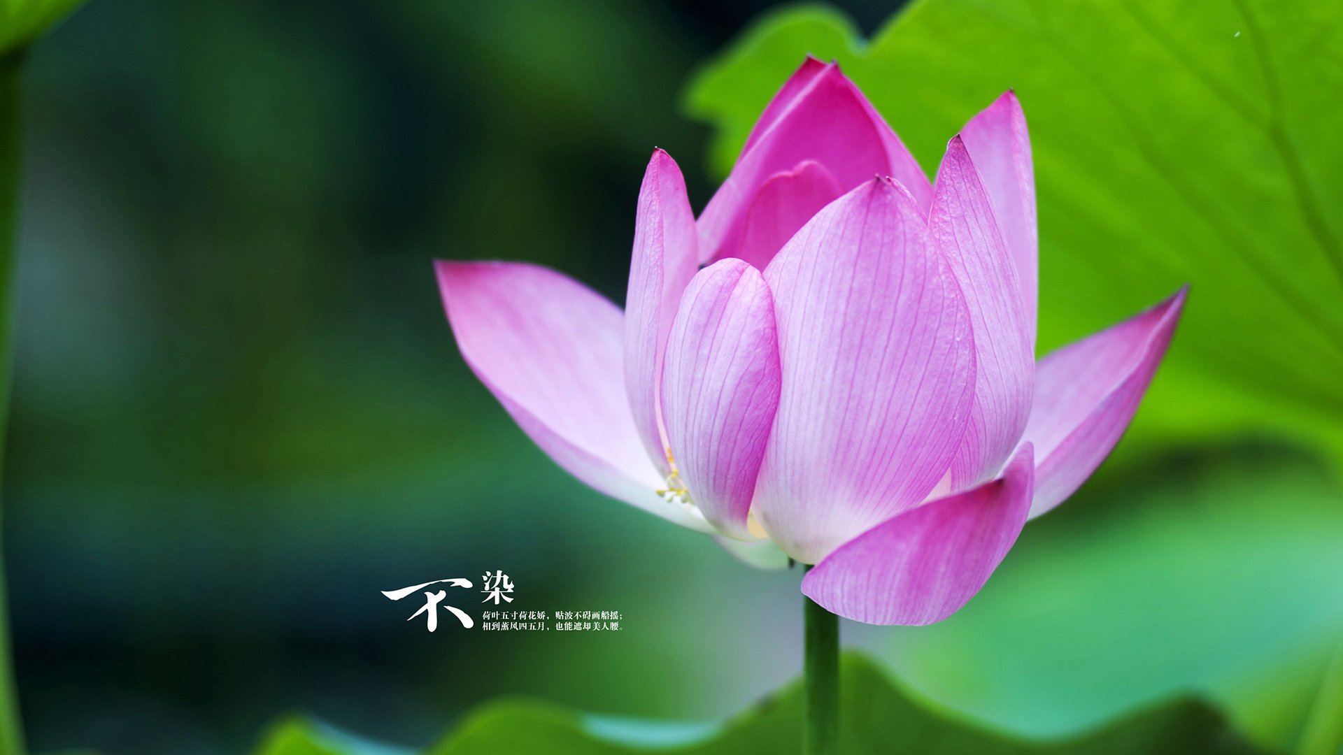 AYX官网-电竞运动员考核体系完善促进职业规范，电子竞技运动员应当具备哪些竞技能力