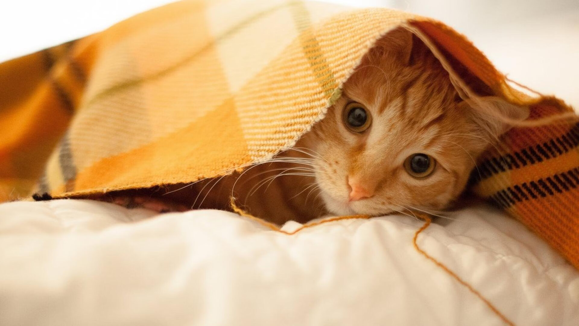 AYX体育官网-高压节奏下球员如何保持传球清晰度，高压球技术