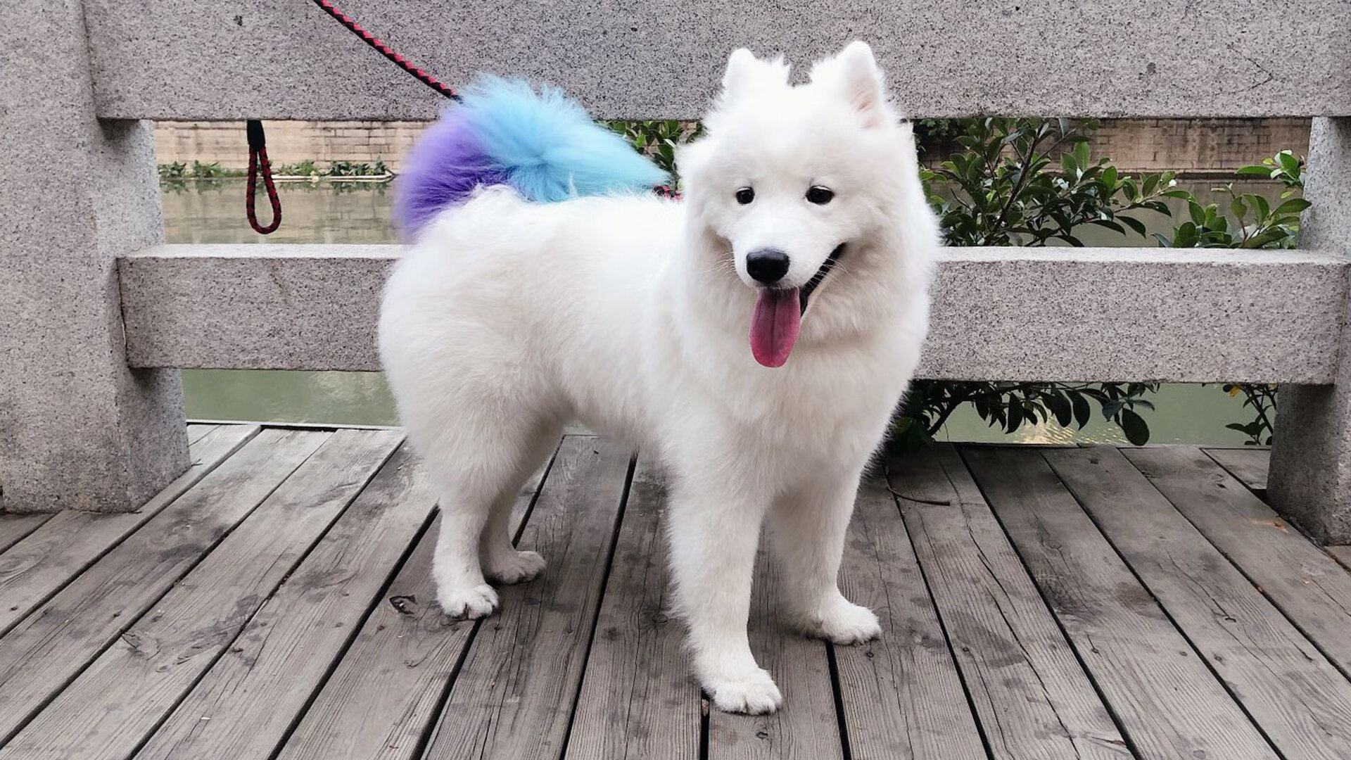 爱游戏app下载-以足球运动为载体的全民健身工程持续推进，普及率提升，以足球运动为主题的绘画