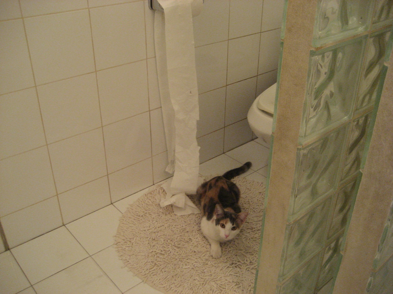 热火加快进攻节奏减少对抗时间消耗，热火队训练过度