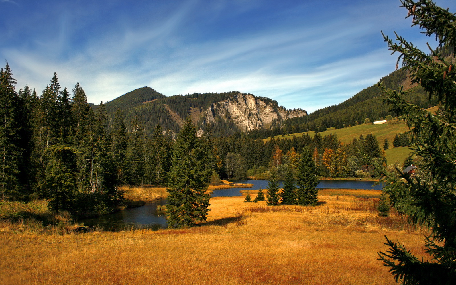 退役国手举办线上篮球训练营吸引数千学员积极参与,退役军人篮球联赛