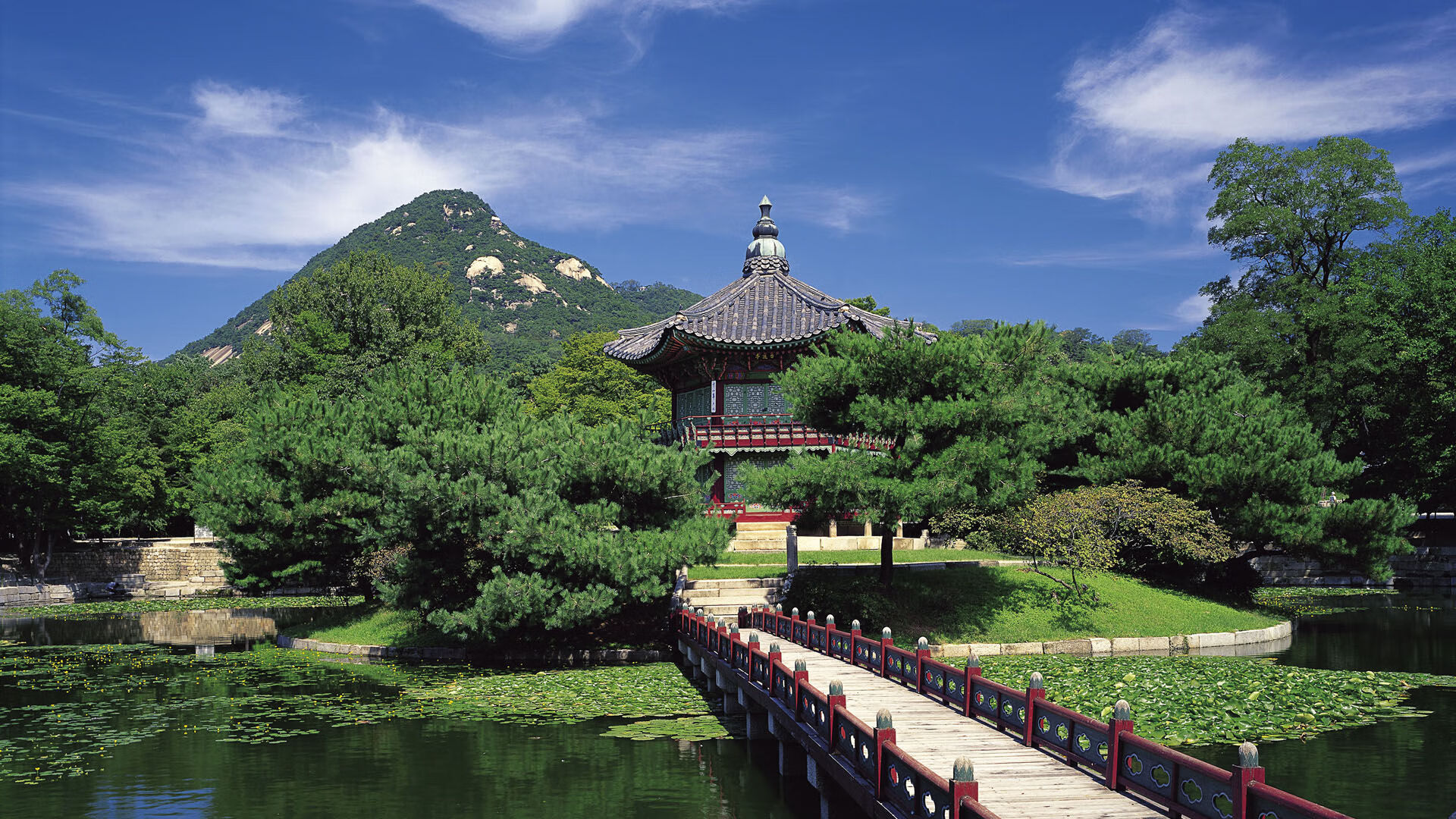 跳水细节打磨助南非队进步明显,fina跳水系列赛赛程