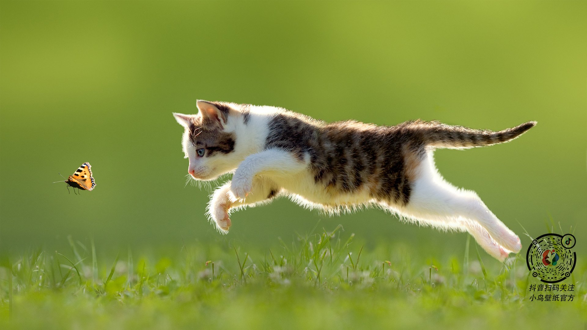 里奇·麦考:领袖气质与攻守兼备的完美结合,里奇·麦克唐纳