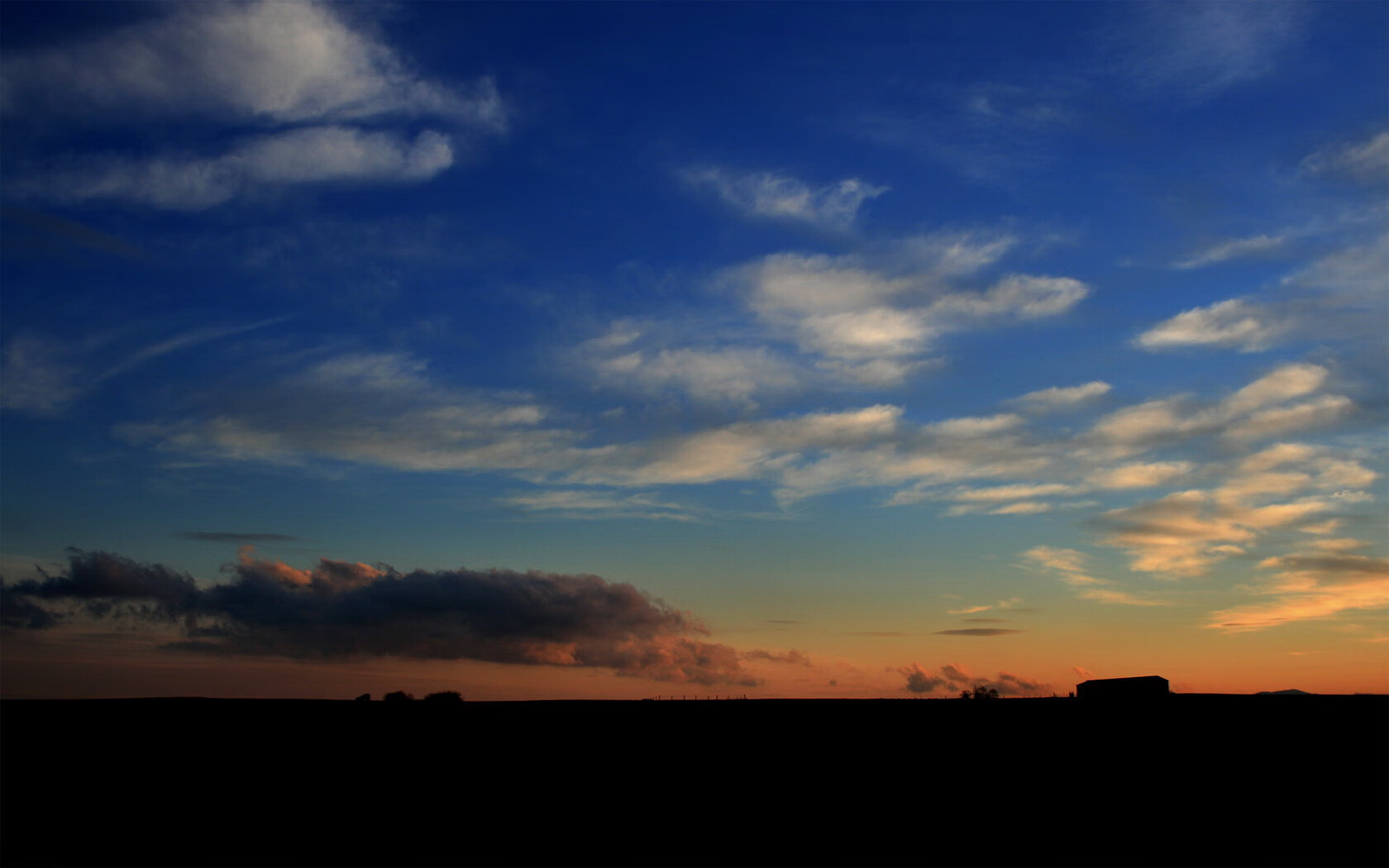 麦金托什女子800米自由泳决赛表现稳健，加拿大游泳运动员麦金托什